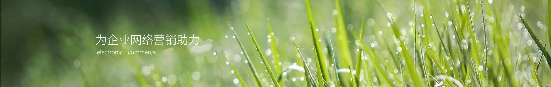 ڿɴе޹˾